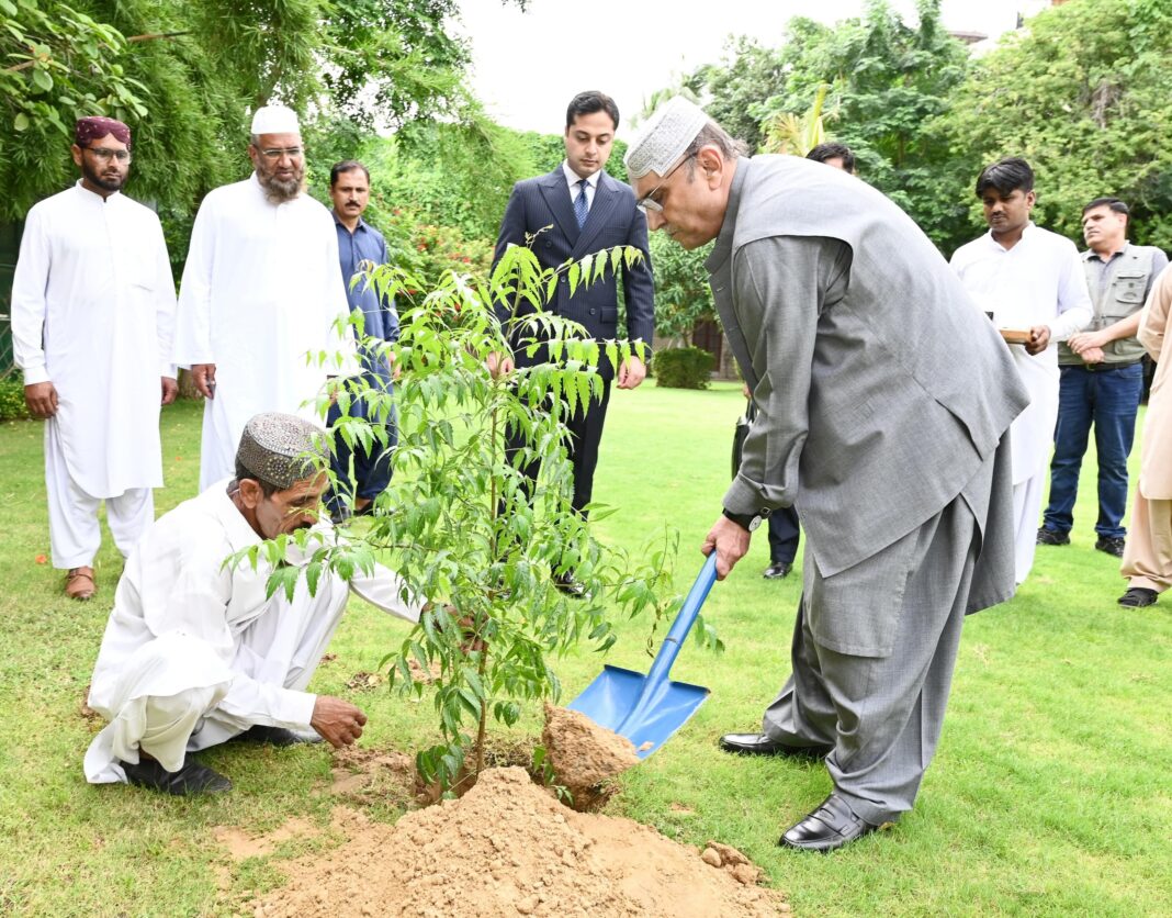 President for enhancing national forest coverage to mitigate impacts of climate change