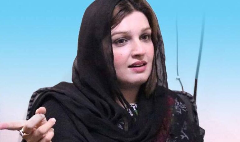 Indian terrorism being condemned globally: Mushaal Mullick