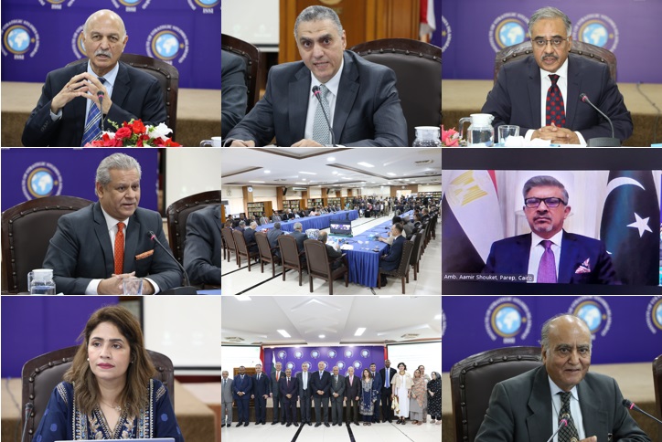 ISSI hosts event commemorating Egypt’s ‘Revolution Day’