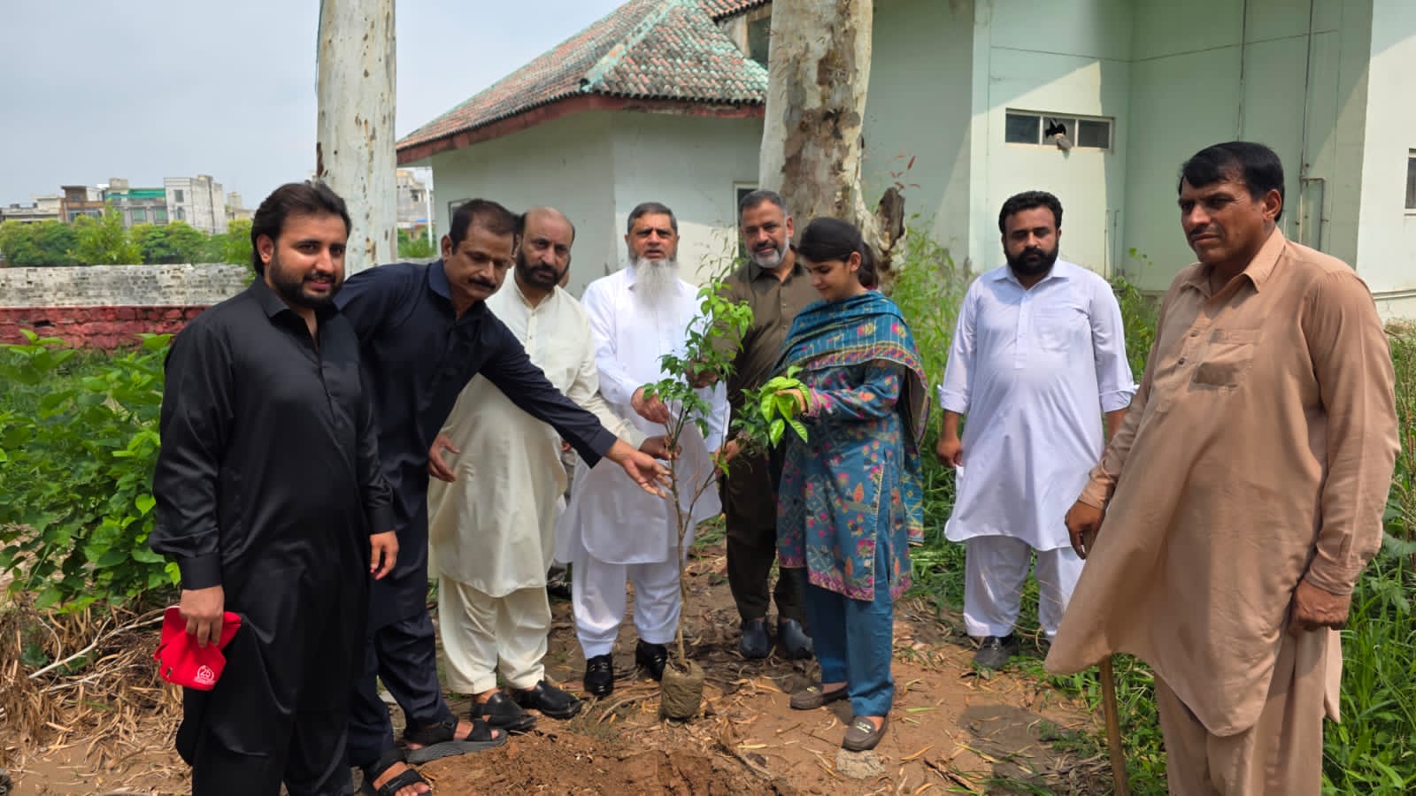 Plant trees to combat climate change, water scarcity and heat stress. Assistant Commissioner City Ms. Iman Zafar