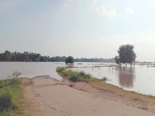 Water surge in Sutlej triggers evacuation