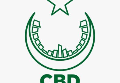CBD Punjab Accelerates Urban Transformation with Global-Standard Development Drive