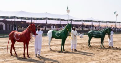A UniqueExpression of Solidarity with the Makkah Accord at the Sultan International Tent Pegging Tournament on World Tent Pegging Day