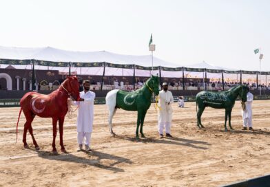 A UniqueExpression of Solidarity with the Makkah Accord at the Sultan International Tent Pegging Tournament on World Tent Pegging Day